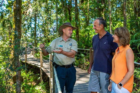 Kuranda Scenic Railway Day Trip From Cairns - Northern Rivers Accommodation 1