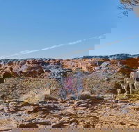 The Amazing Kings Canyon 4-Hours Walking Tour and Hike - Northern Rivers Accommodation