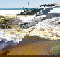 Full-Day Moreton Island 4x4 Sightseeing Tour - Northern Rivers Accommodation