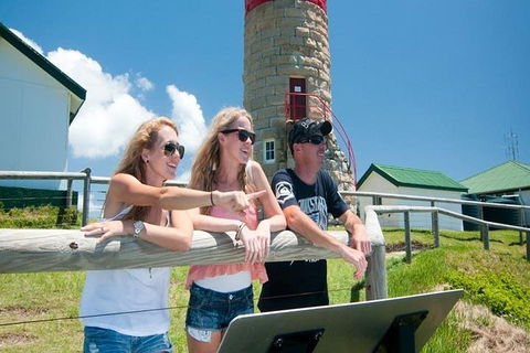 Full-Day Moreton Island 4x4 Sightseeing Tour - Northern Rivers Accommodation 3
