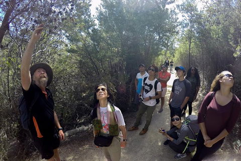 Active Day Tour One-Way From Launceston To Hobart Via Wineglass Bay - Northern Rivers Accommodation 0
