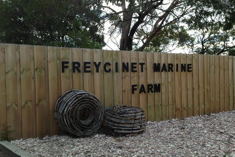 Active Day Tour One-Way From Launceston To Hobart Via Wineglass Bay - Northern Rivers Accommodation 3