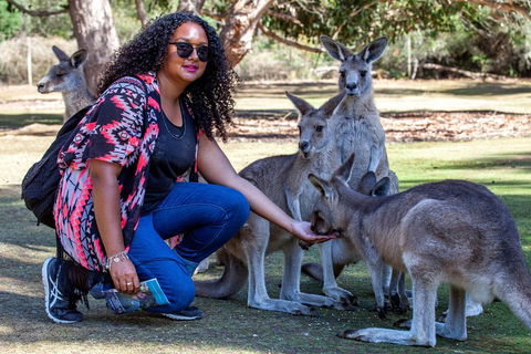 3-Day Tasmania Combo: Hobart To Launceston Active Tour - Northern Rivers Accommodation 5