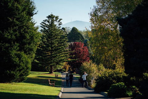 Private Royal Tasmanian Botanical Gardens Walking Tour - Northern Rivers Accommodation 1