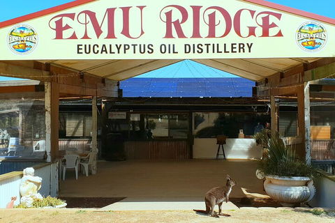 2-Day Kangaroo Island Safari From Adelaide - Northern Rivers Accommodation 4