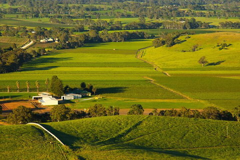 Full-Day Wine World Tour In Barossa - Northern Rivers Accommodation 2