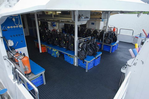 Silverswift Outer Great Barrier Reef Dive And Snorkel Cruise From Cairns - Northern Rivers Accommodation 0