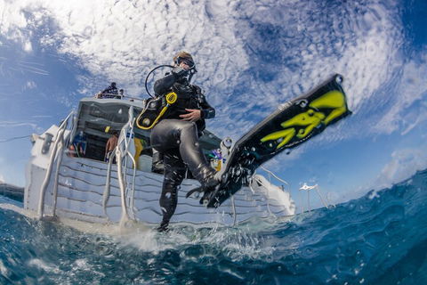 Silverswift Outer Great Barrier Reef Dive And Snorkel Cruise From Cairns - Northern Rivers Accommodation 1