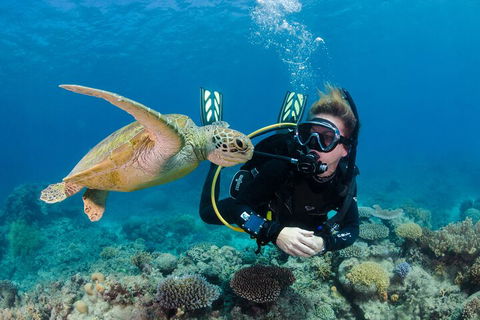 Silverswift Outer Great Barrier Reef Dive And Snorkel Cruise From Cairns - Northern Rivers Accommodation 2