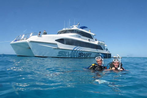 Silverswift Outer Great Barrier Reef Dive And Snorkel Cruise From Cairns - Northern Rivers Accommodation 4