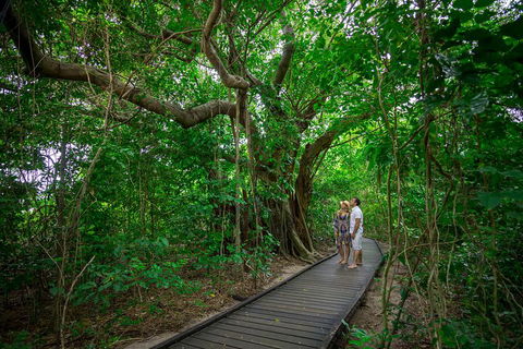 Green Island Day Trip Including Seawalker Helmet Dive COMBO - Northern Rivers Accommodation 1
