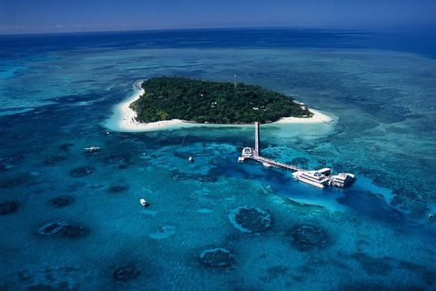 Green Island Day Trip Including Seawalker Helmet Dive COMBO - Northern Rivers Accommodation 5