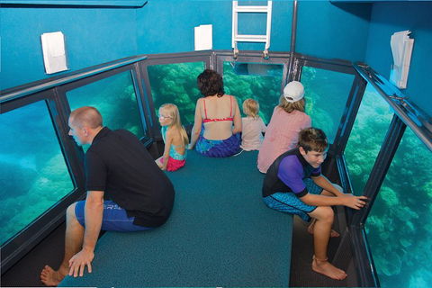 Great Barrier Reef Adventure From Cairns - Northern Rivers Accommodation 1