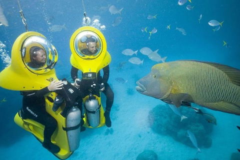 Great Barrier Reef Adventure From Cairns - Northern Rivers Accommodation 2