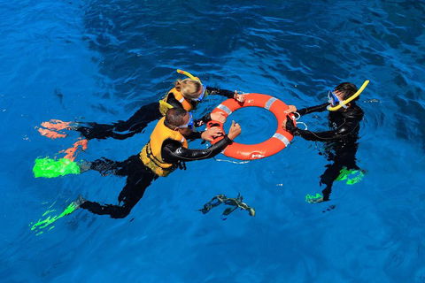 Great Barrier Reef Adventure From Cairns - Northern Rivers Accommodation 3