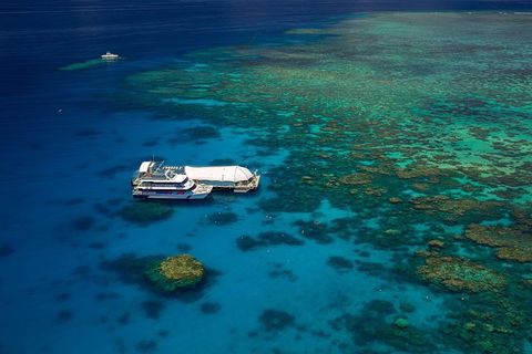 Great Barrier Reef Adventure From Cairns - Northern Rivers Accommodation 4