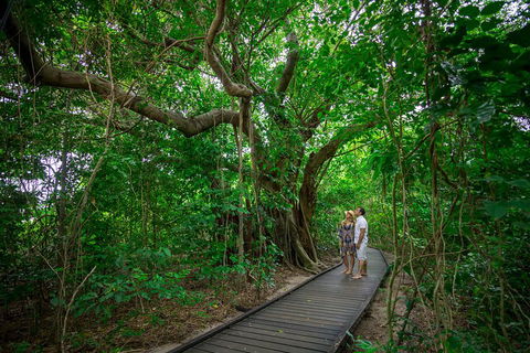 Green Island Eco Adventure From Cairns - Northern Rivers Accommodation 0