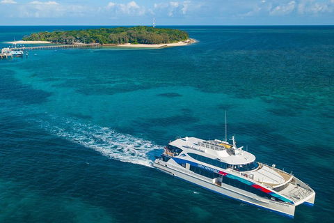 Green Island Eco Adventure From Cairns - Northern Rivers Accommodation 1