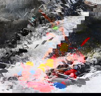 Barron Gorge National Park Half-Day White Water Rafting from Cairns or Port Douglas - Northern Rivers Accommodation