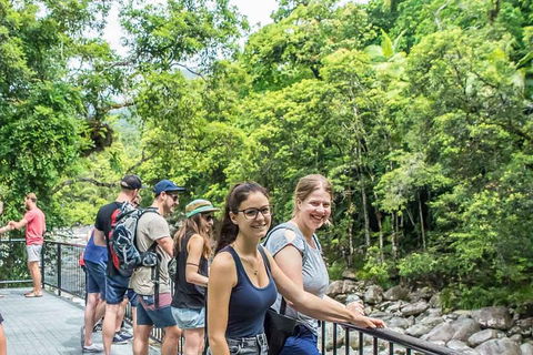 Cape Tribulation, Mossman Gorge, And Daintree Rainforest Day Trip From Cairns Or Port Douglas - Northern Rivers Accommodation 0