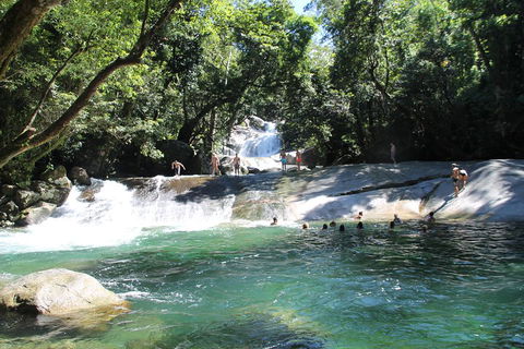 Double Pack-Ancient Rainforest And Waterfalls! - Northern Rivers Accommodation 2