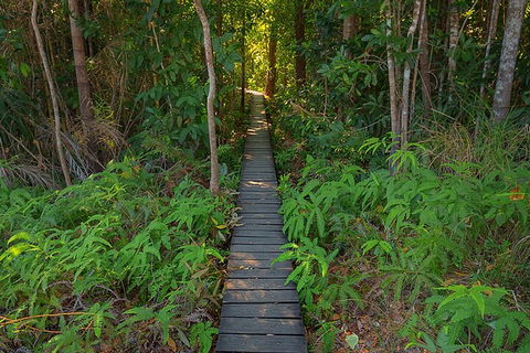 One Day Litchfield Park Adventures - Northern Rivers Accommodation 4
