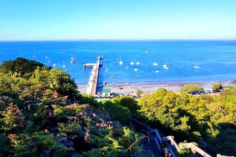 Mornington Peninsula Sightseeing Tour For 2-6 Guests. - Northern Rivers Accommodation 1