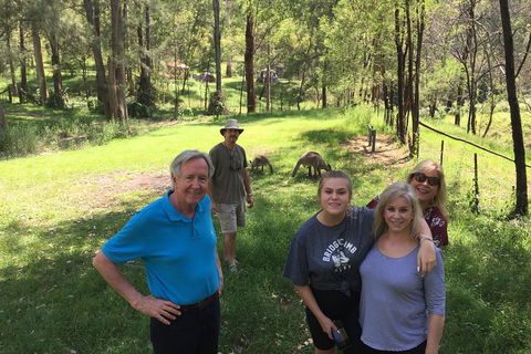 Small Group Blue Mountains Day Tour From Sydney - Northern Rivers Accommodation 1