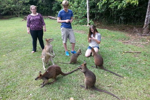 Small Group Blue Mountains Day Tour From Sydney - Northern Rivers Accommodation 2