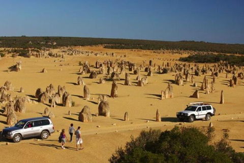 1-Day Pinnacles And Yanchep Tour From Perth Including Fish And Chips Lunch - Northern Rivers Accommodation 0