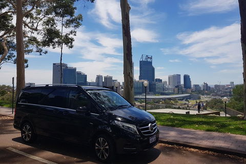 1-Day Pinnacles And Yanchep Tour From Perth Including Fish And Chips Lunch - Northern Rivers Accommodation 1