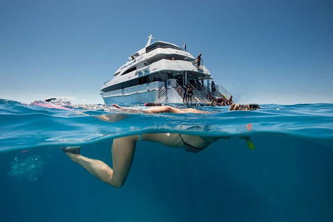 3 Day Great Barrier Reef, Daintree Rainforest And Outback Chillagoe Tour - Northern Rivers Accommodation 0