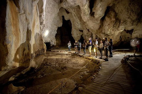 3 Day Great Barrier Reef, Daintree Rainforest And Outback Chillagoe Tour - Northern Rivers Accommodation 1