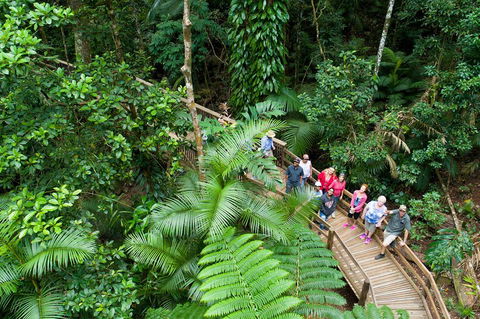 3 Day Great Barrier Reef, Daintree Rainforest And Outback Chillagoe Tour - Northern Rivers Accommodation 2