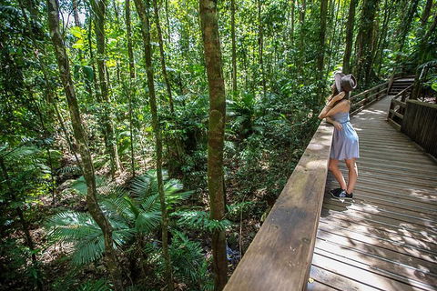 3 Day Great Barrier Reef, Daintree Rainforest And Outback Chillagoe Tour - Northern Rivers Accommodation 3