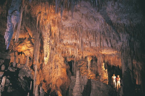 2-Day Margaret River Wine Experience From Perth - Northern Rivers Accommodation 2