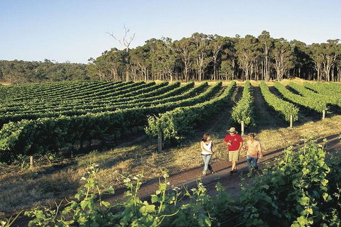2-Day Margaret River Wine Experience From Perth - Northern Rivers Accommodation 3