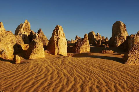 Full Day Pinnacle Desert Explorer From Perth Including Hillarys And Lancelin Sandboarding - Northern Rivers Accommodation 3