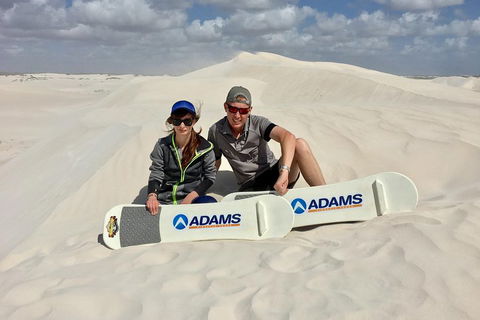 Full Day Pinnacle Desert Explorer From Perth Including Hillarys And Lancelin Sandboarding - Northern Rivers Accommodation 4