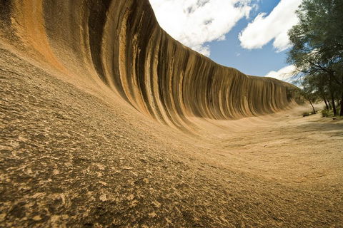 Wave Rock, York, Wildflowers, And Aboriginal Cultural Day Tour From Perth - Northern Rivers Accommodation 0