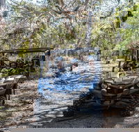 Small-Group Buggy Tour at Little Sahara with Guide - Northern Rivers Accommodation