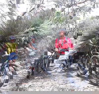2 Hour Bike Tour in Kangaroo Island - Northern Rivers Accommodation