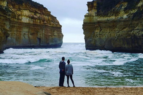 Great Ocean Road Small-Group Ecotour From Melbourne - Northern Rivers Accommodation 1