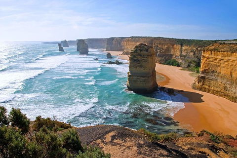 Great Ocean Road Small-Group Ecotour From Melbourne - Northern Rivers Accommodation 2