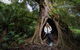 Great Ocean Road Small-Group Ecotour From Melbourne - thumb 4
