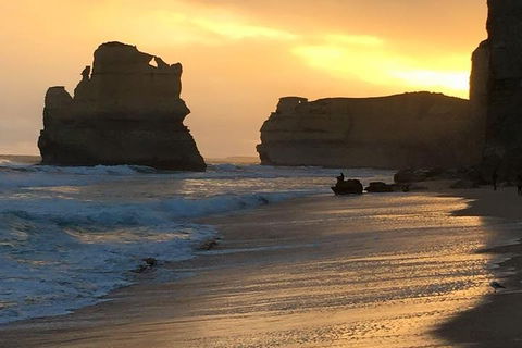 Great Ocean Road Small-Group Ecotour From Melbourne - Northern Rivers Accommodation 5