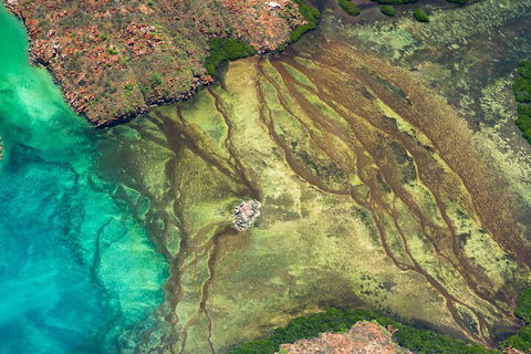 Fly The Falls Tour - Northern Rivers Accommodation 0