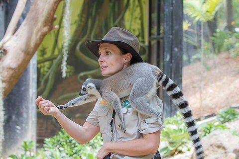 Currumbin Wildlife Sanctuary General Entry Ticket - Northern Rivers Accommodation 1