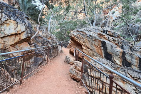 West MacDonnell Ranges Half - Day Tour - Northern Rivers Accommodation 0