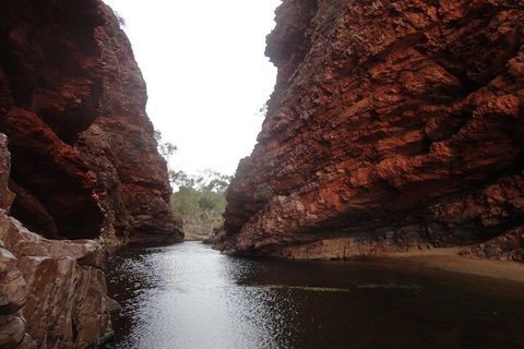 West MacDonnell Ranges Half - Day Tour - Northern Rivers Accommodation 4